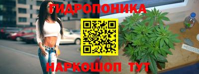 ПСИЛОЦИБИНОВЫЕ ГРИБЫ Будённовск